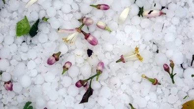 Mersin'de Şiddetli Dolu Yağışı