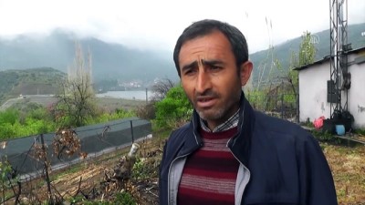 Ödemişte Yağış Barajların Su Seviyesini Artırdı