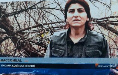 PKK'nın Kadın Yapılanmasına MİT Ve TSK'dan Darbe