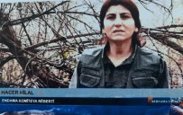 DURAN KALKAN - PKK'nın Kadın Yapılanmasına MİT Ve TSK'dan Darbe