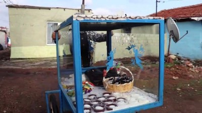 'Süper Babaanne' İki Torununa Tatlı Ve El İşi Satarak Bakıyor