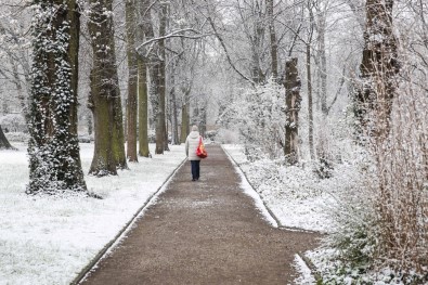 Almanya'da Kar Yağışı Sokakları Beyaza Bürüdü