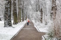 HAMBURG - Almanya'da Kar Yağışı Sokakları Beyaza Bürüdü