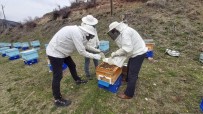 Arılara, Vefa Grubu Tarafından Bakım Ve İlaçlama Yapıldı