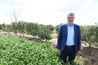 FABRIKA - Barut Açıklaması 'Çiftçi Üretmezse Gıda Fiyatları Uçar'