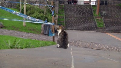 Diyarbakır'ın Tarihi Mekanlarında Sessizlik Hakim