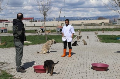 DKMP Muş Şubesi Tarafından Hayvan Barınakları Denetlendi