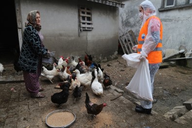 Emine Teyze, Tavuklarının Yemi Bitince Belediye Başkanını Aradı