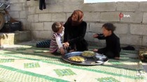 İDLIB - Eşi Lübnan'da Hapishanede Bulunan Suriyeli Kadının Kampta Yaşam Mücadelesi