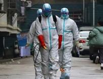 AVUSTURYA - DSÖ'den şaşırtan koronavirüs uyarısı