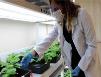 AKDENIZ ÜNIVERSITESI - Koronavirüs ile mücadelede yeni sistem