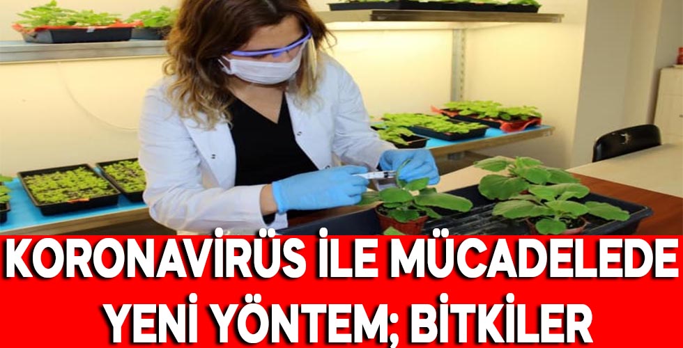 Koronavirüs ile mücadelede yeni sistem
