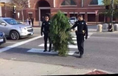 Sırbistan'da Sokağa Çıkma Yasağını Delen 'Ağaç' Yakalandı