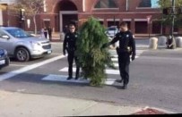 SIRBİSTAN - Sırbistan'da Sokağa Çıkma Yasağını Delen 'Ağaç' Yakalandı