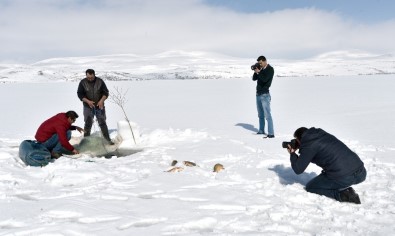 Eskimo Usulü Balık Avına Fotoğrafçı İlgisi
