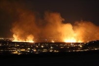 Kaş'ta Sazlık Yangını