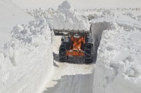 Kar Kalınlığı 7 Metreyi Buldu, İş Makineleri 20 Gündür Yolu Açmaya Çalışıyor