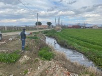 Manisa'da Haşereyle Mücadele Başladı Haberi