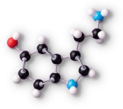 Şirketlerin Yüzde 51'İ Koronavirüs'e Hazırlıksız
