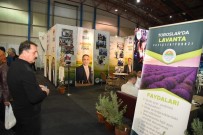 Toroslar'ın Tarımsal Ürünleri Görücüye Çıktı