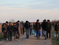 Türkiye'den çıkan göçmen sayısı açıklandı