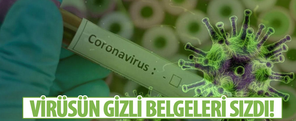 Corona virüs gizli belgeleri sızdı! Panik zirveye taşındı!