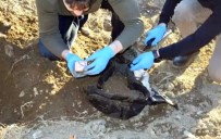 Diyarbakır'da 5 Kilogram Patlayıcı Bulundu