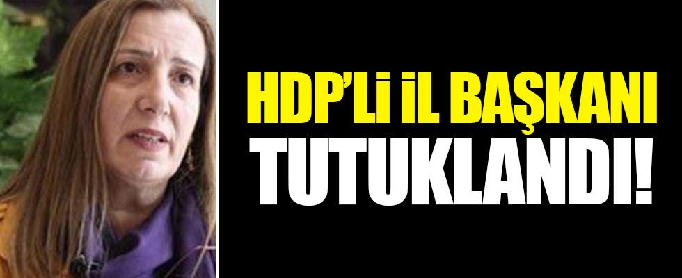 HDP'li il başkanı tutuklandı