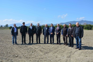 Muğlalı Çiftçiye 'Pikan Cevizi' Desteği