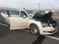 Bingöl'de Otomobilin Çarptığı Eşek Telef Oldu