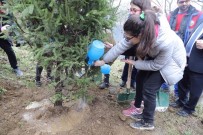 Kağıthane'de Yeşil Alanlar Arttırılıyor