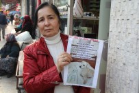 'Kartopu'yu Bulanı Ödüllendirecek