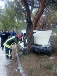 Denizli'de Otomobil Ağaca Çarptı Açıklaması 1 Ölü, 1 Yaralı