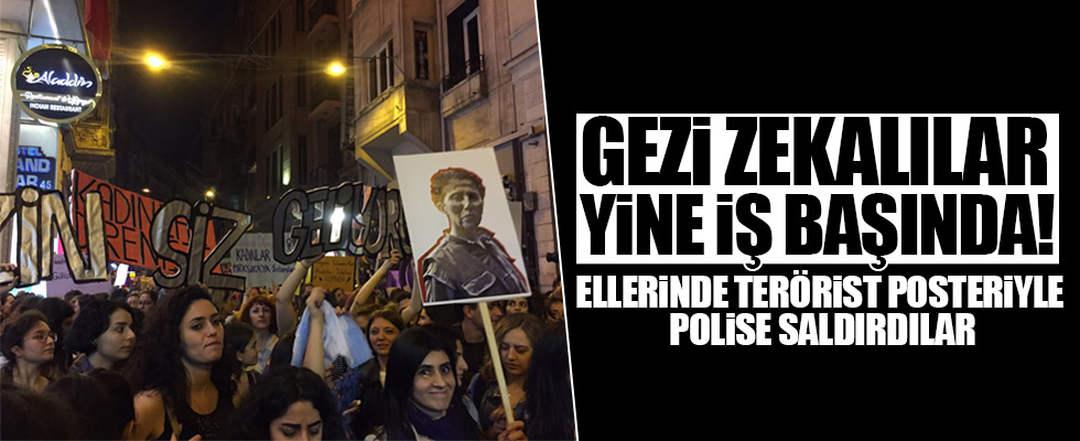 Gezi zekalılar yine iş başında!