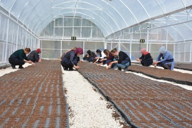 Kızıltepeli Kadınlar Dünya Kadınlar Günü'nde Kooperatif Kurdu