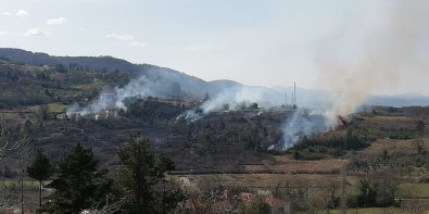 Türkeli Ve Ayancık'ta Orman Yangını