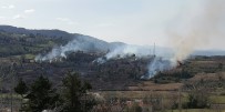 Türkeli Ve Ayancık'ta Orman Yangını Haberi