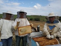 Kırklareli'de Arıcılara 630 Bin TL  Ödenecek