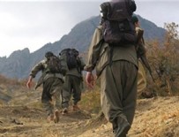 ŞANLIURFA - MSB: PKK/YPG'li 2 terörist teslim oldu