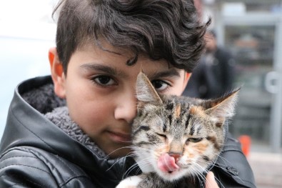 (Özel) Sokakta Bulduğu Kediye Üzüldü, Montuna Sarıp Veterinere Götürdü