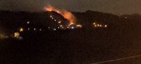 Trabzon'da Orman Yangını Haberi