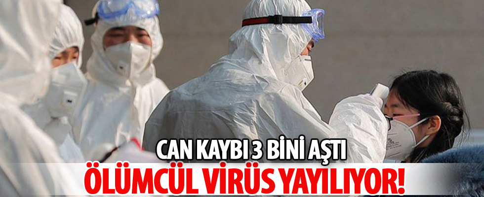 Virüste can kaybı 3 bin 800'ü geçti