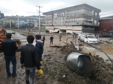 Diyarbakır'ı Sağanak Vurdu, Onlarca Büyükbaş Hayvan Telef Oldu