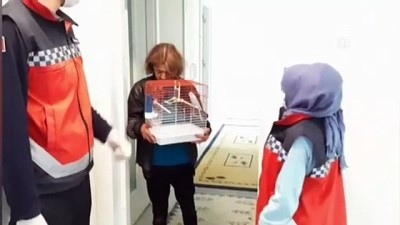 İzmir'de Yaşlı Teyzenin Muhabbet Kuşu İsteğini Belediye Ekipleri Karşıladı
