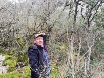 TARıM - Osmaneli'ndeki Ormanlar Tehlike Altında