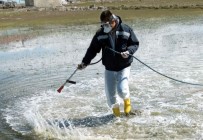 ENDEMIK - Van'da Vektörle Mücadele Çalışması