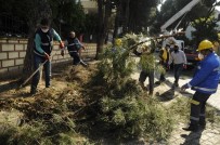 Aydın Büyükşehir Ve Nazilli Belediyesi'nden Ortak Çalışma