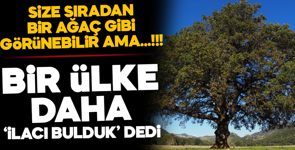 Bir ülke daha ‘İlacı bulduk’ dedi!