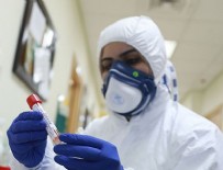 İSVIÇRE - Dünya Sağlık Örgütü'nden korkutan açıklama!