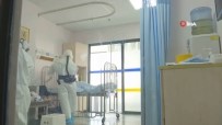 Japonya'da 11 Kişi Daha Korona Virüse Yenik Düştü